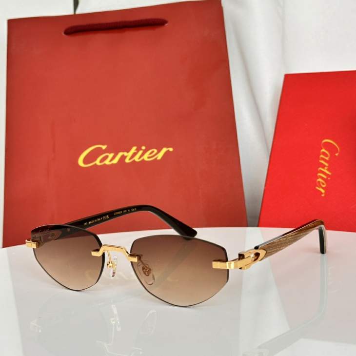 Picture of Cartier Sunglasses _SKUfw79479315fw
